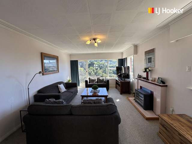 14 Grant Street Dunedin Central_4