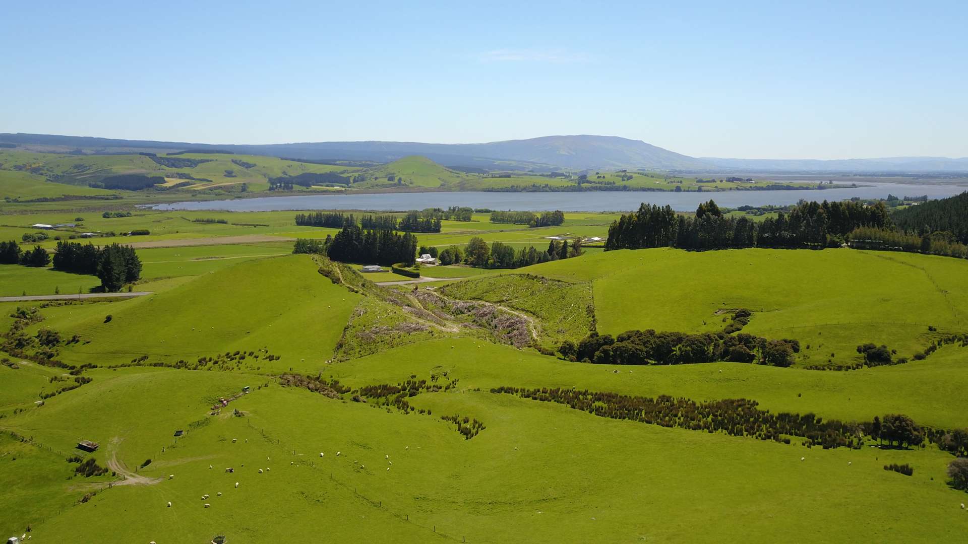 Waihola Highway Waihola_0