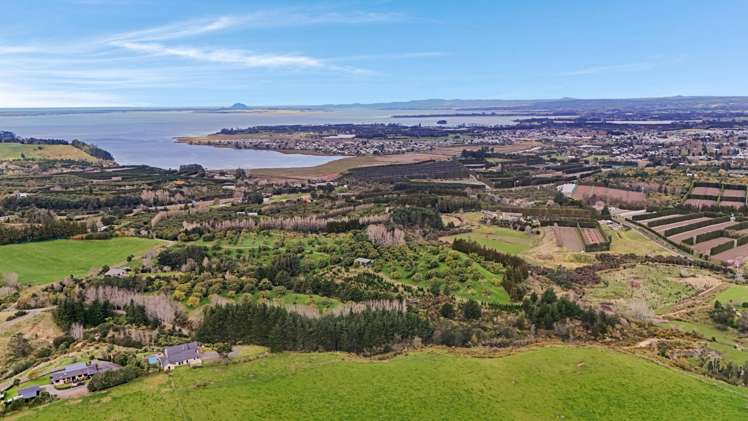 53C Woodland Road Tahawai_23