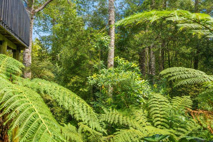 346 Cowan Bay Road Warkworth_13