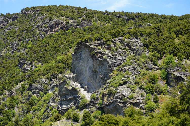 13 Ewing Place Albert Town_10