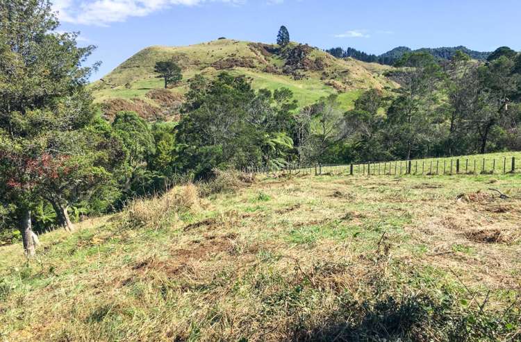 108C Savage Road Waihi_8