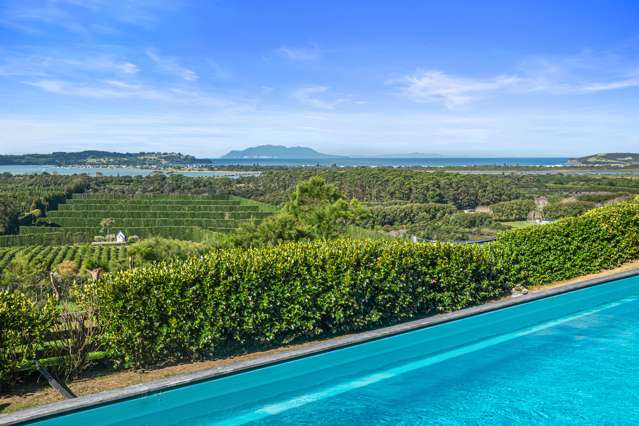 Omaha Bay Vineyard | The Perfect Lifestyle