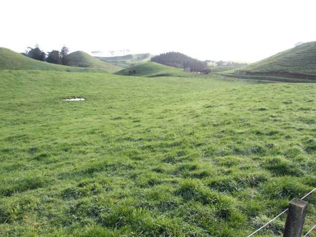 Tarata Road Inglewood_1