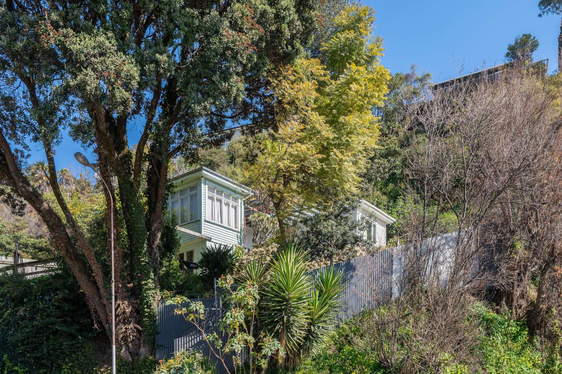 3 Hornsey Road Bluff Hill_0