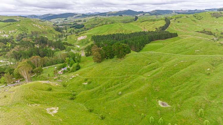 1655 Annedale Road Tinui_2
