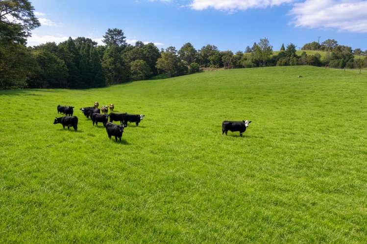 527a Whangaripo Valley Road Wellsford_16