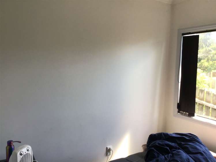 2/123 White Swan Road Mount Roskill_12