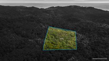 254 Piha Road_1