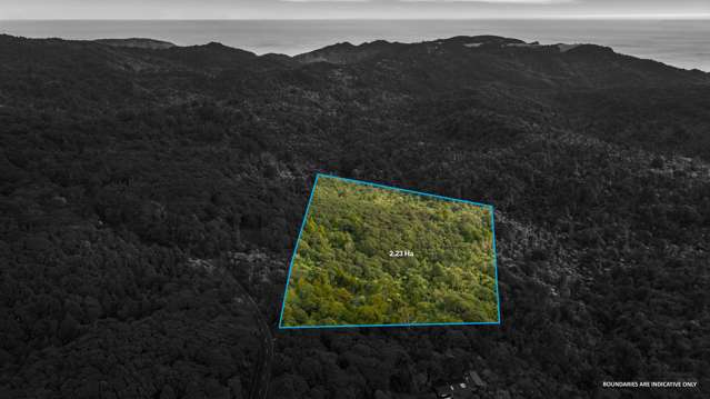 254 Piha Road Piha_1