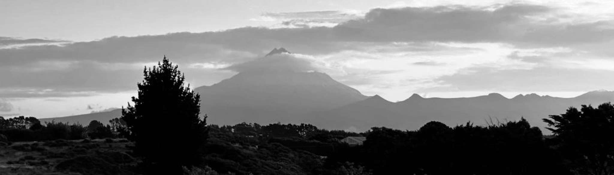 Boutique Real Estate - A Branch of eXp New Zealand Licensed REAA (2008)