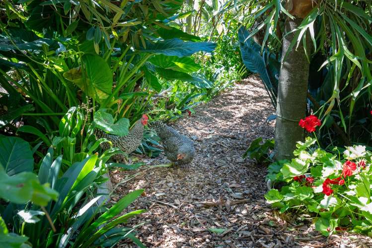 3/41 Omarunui Road Taradale_13