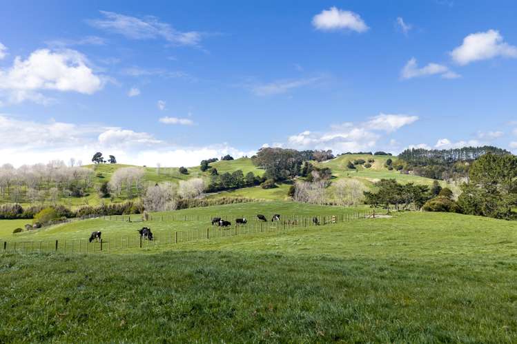 1698 Hetherington Road Huntly_15
