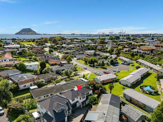 Pillans Point Potential