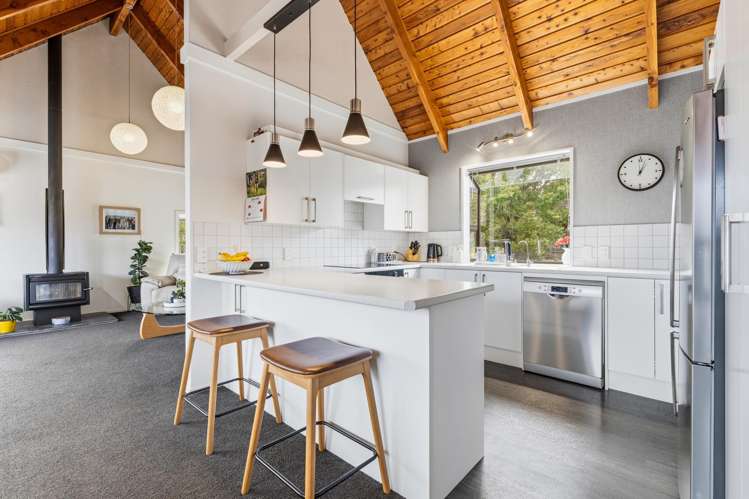 183A Scott Street Waverley_8