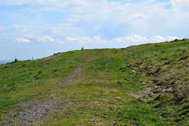 347 Davis Road Cust_11