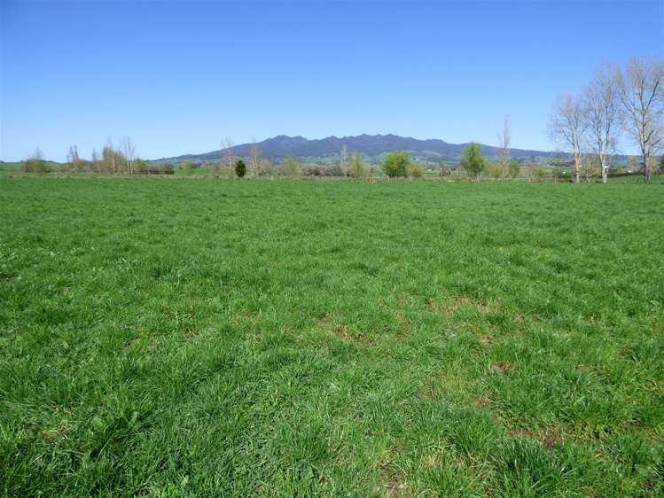 336 Grove Road Te Pahu_5