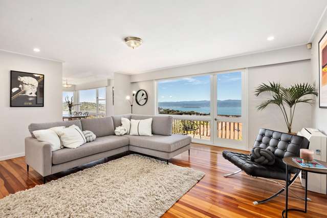 80 Pitt Street Wadestown_3