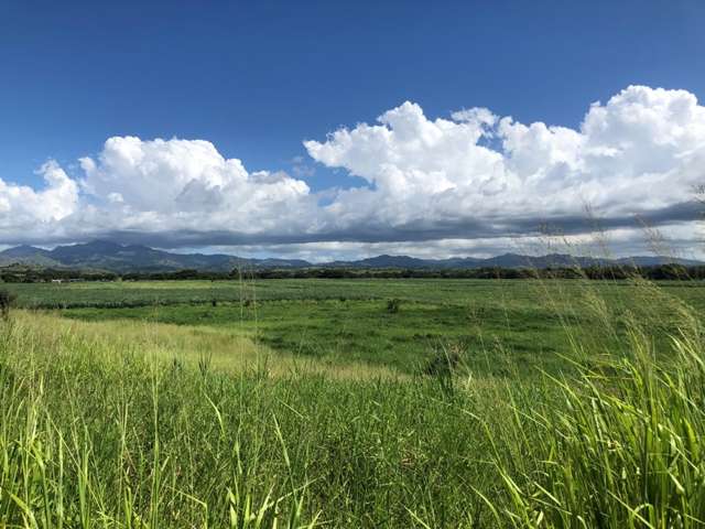 Amazing Agricultural Opportunity -- Votualevu (Nadi) Farm Land FOR SALE