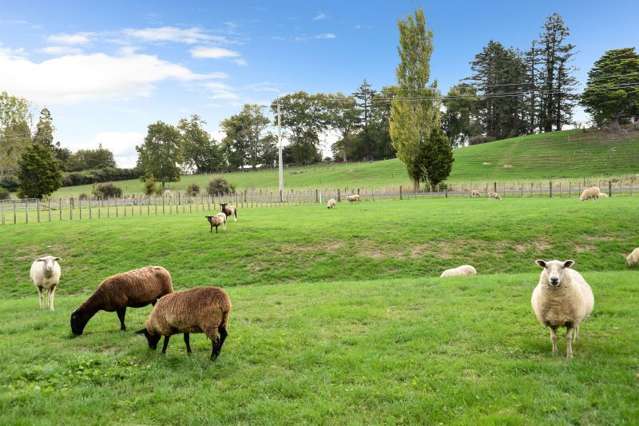 16 Waipuna Road Waerenga_4