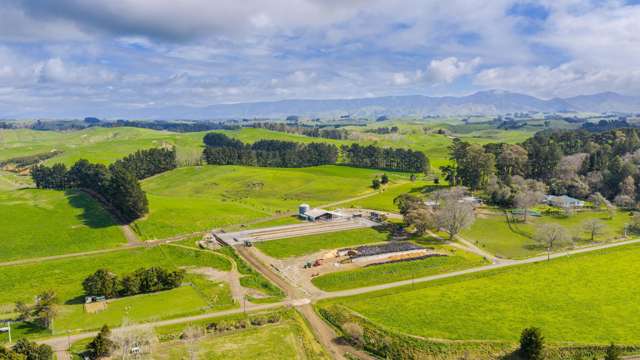 236 Tower Street Ormondville_4