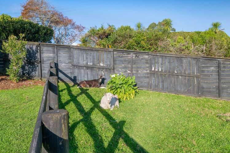 367 Taylor Road Waimauku_38