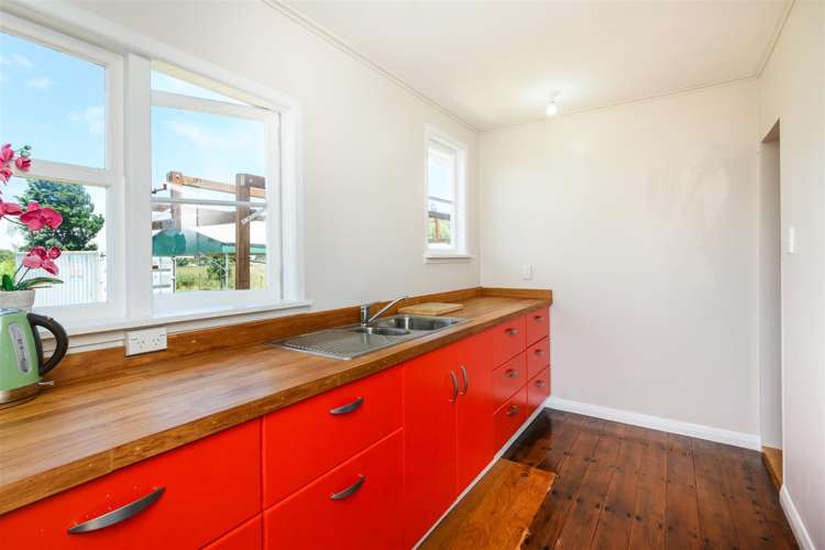 25 Flower Street Bulls_16