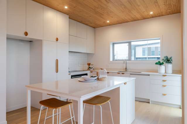 5 Cong Avenue Milson_3