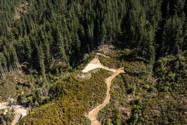 990 Motueka River West Bank Road Motueka_3