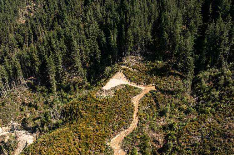 990 Motueka River West Bank Road Motueka_9