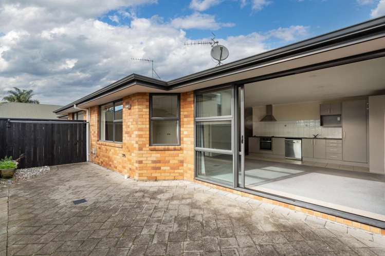 43B Campbell Street Frankton_3
