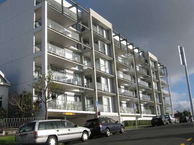 Central Auckland MR Opportunity Now Available