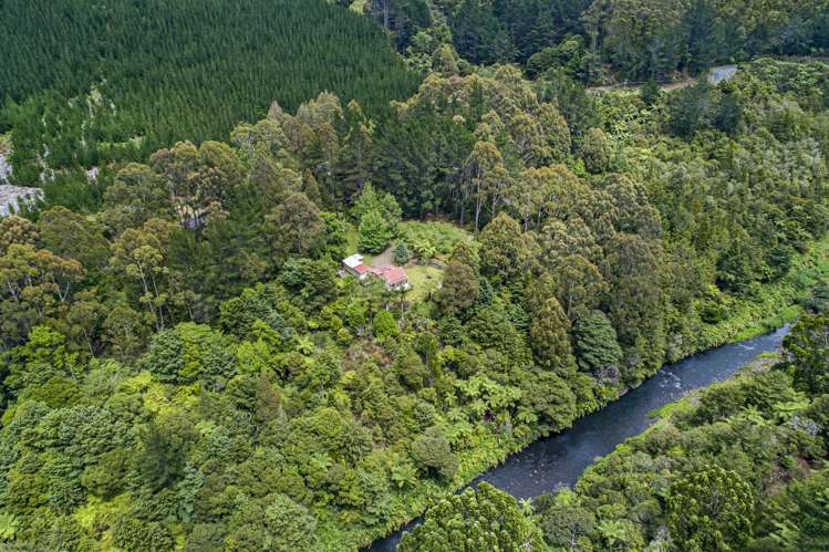 106 Trounson Park Road Dargaville Surrounds_34