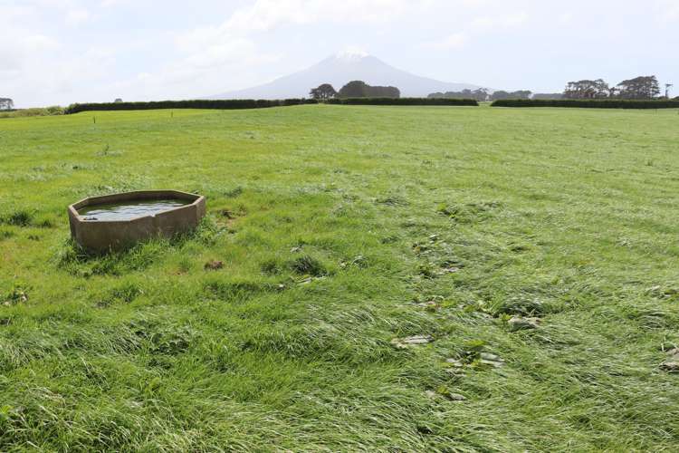 939 Auroa Road Auroa_1