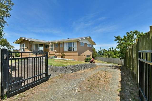 113 Roberts Road Matakatia_3