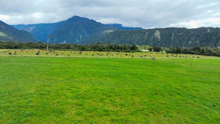 217 Poerua Valley Road Harihari_21
