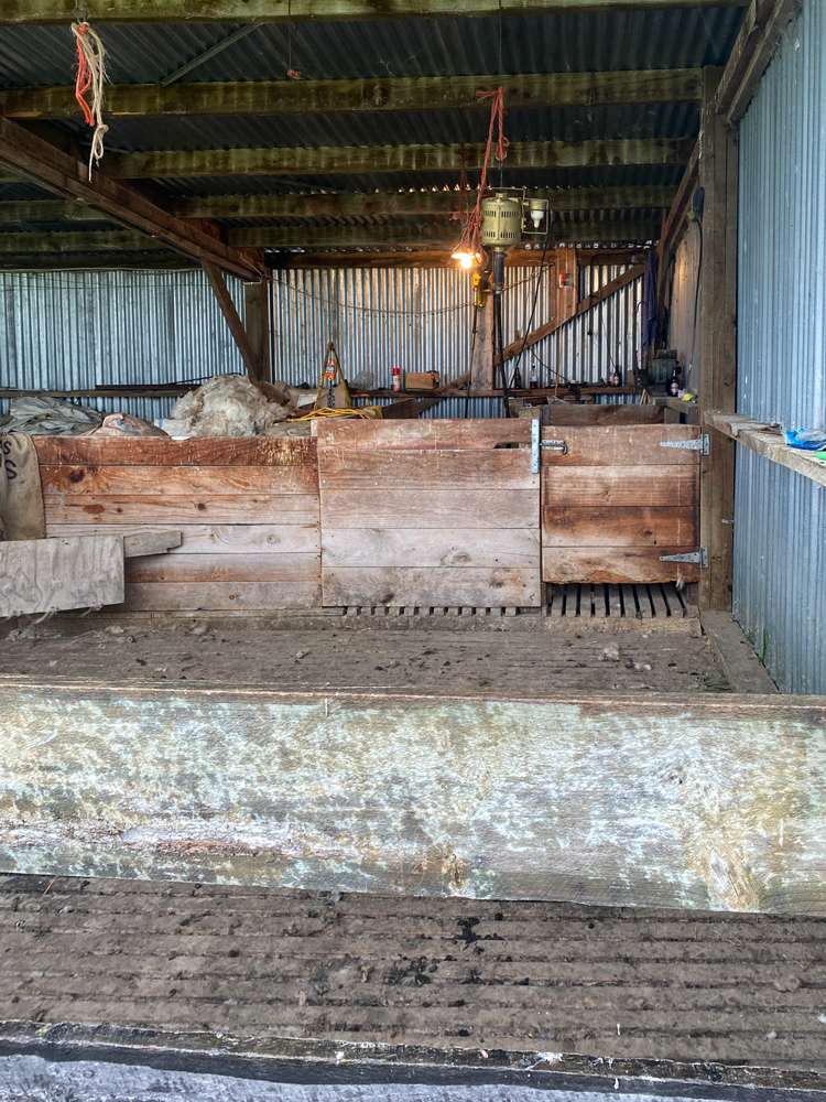 192 Beck Road Balfour_15