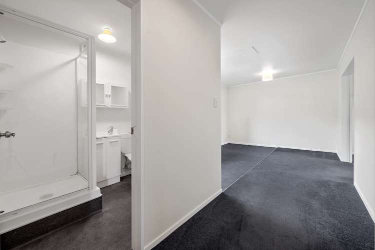 43 Durham Street Picton_15