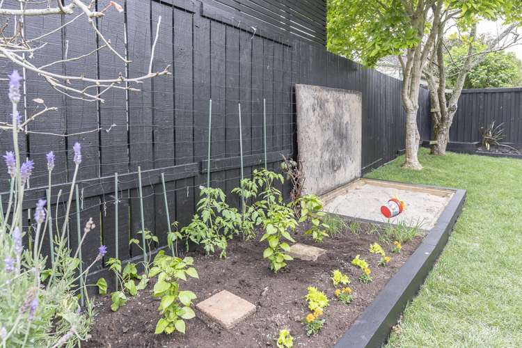 28a Renfrew Avenue Sandringham_19