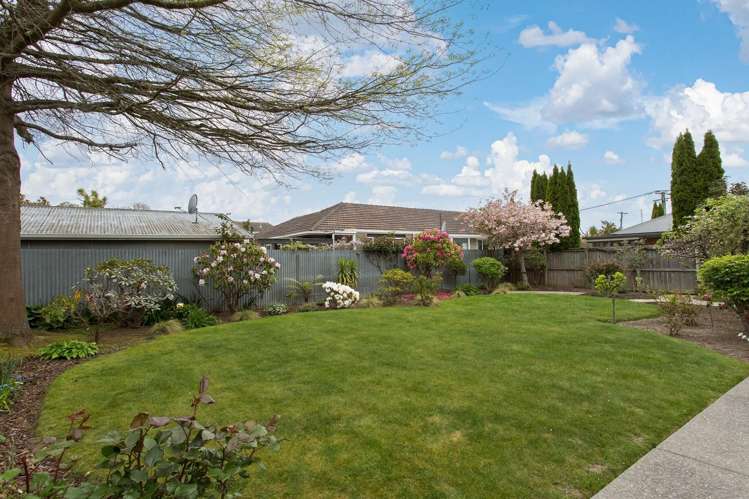 128 Hamilton Avenue Fendalton_18