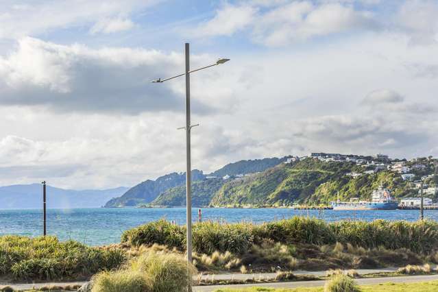 2/163 Rongotai Road Rongotai_2