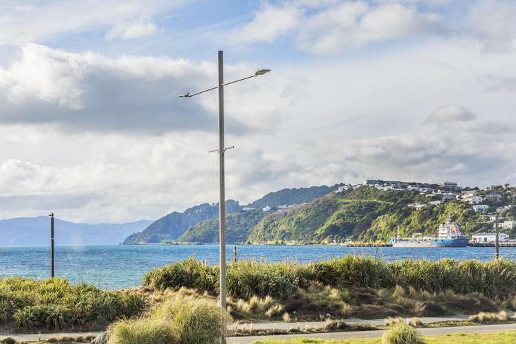 2/163 Rongotai Road Rongotai_1
