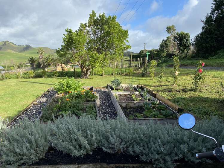 103 Austin Road Maunu_9