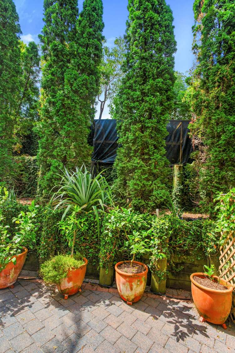 30f Tarawera Terrace Saint Heliers_16