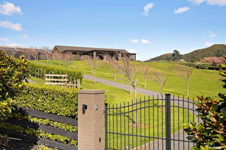 233d Pinnacle Hill Road Mangatawhiri_1