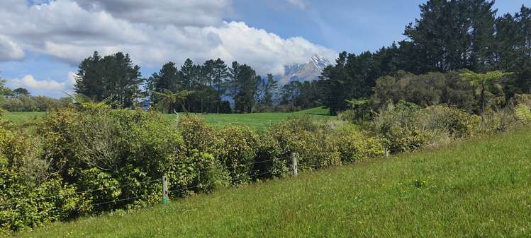 185 Korito Road Korito_22