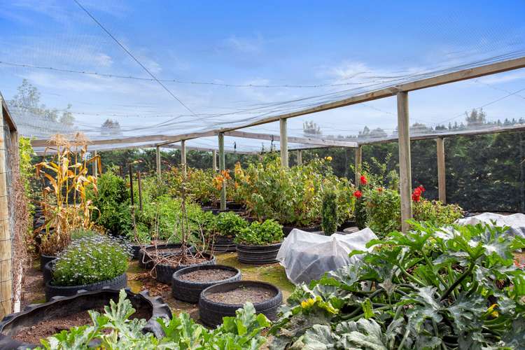 128 Yaxleys Road Loburn_21