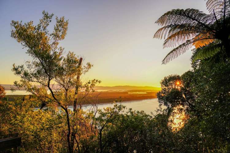 239 Levers Road Matua_11