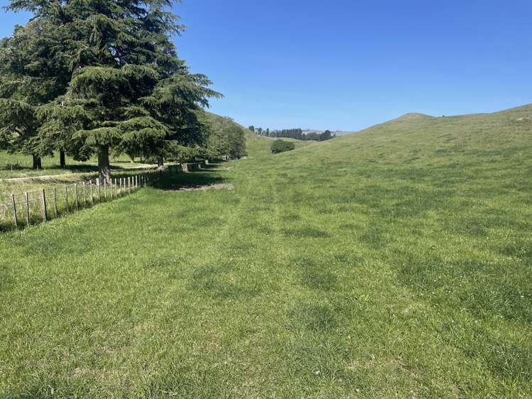 Corner Te Aute Trust Road and Aupaki Road Poukawa_12