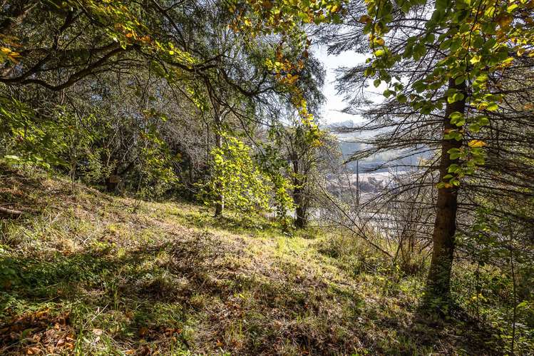 4 Ensor Street Burnside_22